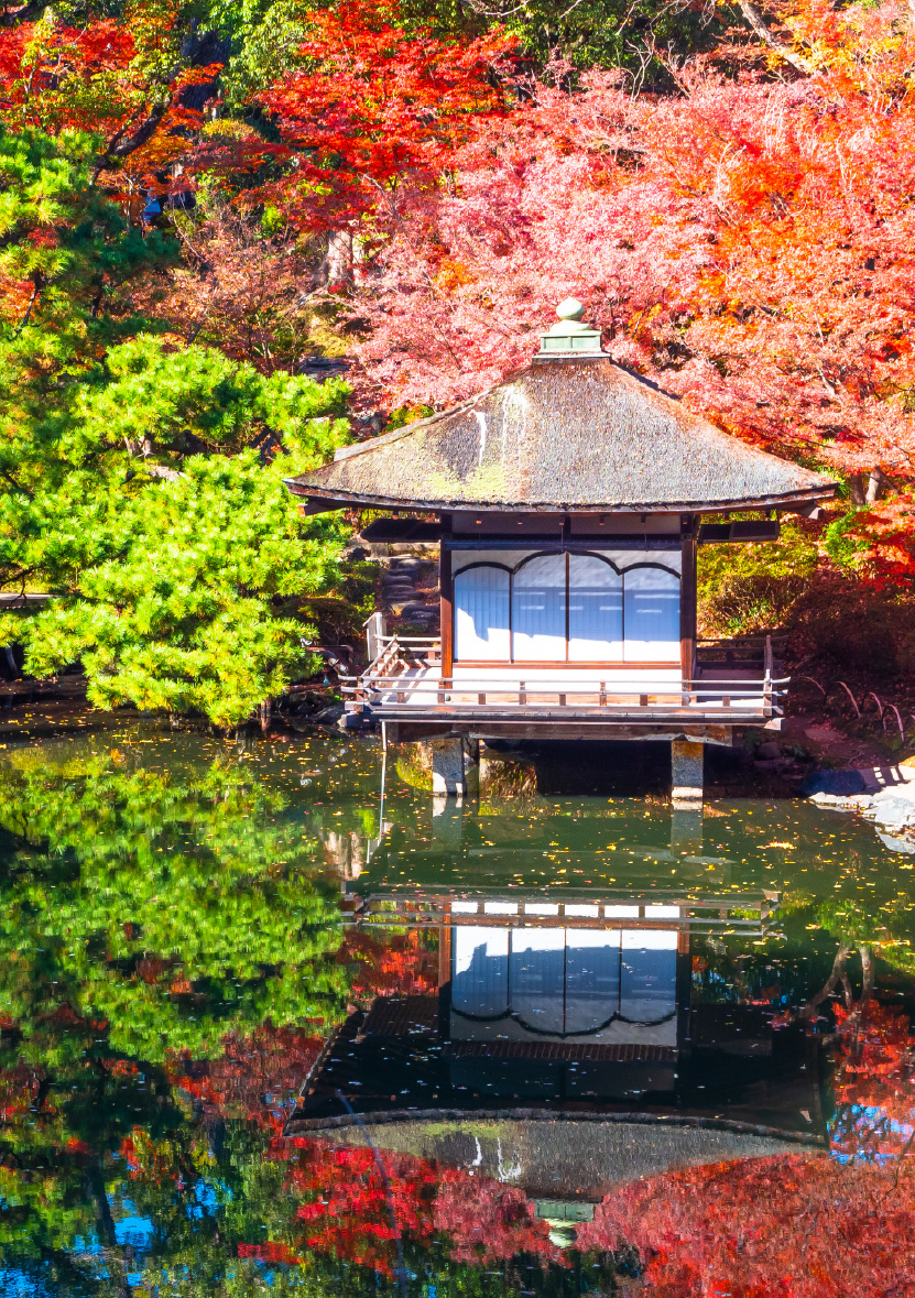 楓紅南紀🍁美肌溫泉 × 秋色美景6日
