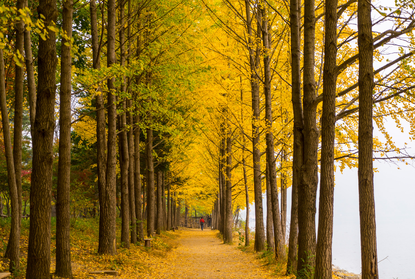 打卡推薦 愛上首爾5日~南怡島、景福宮+韓服體驗、小法國村+義大利村、益善洞韓屋村、全新塗鴉秀SEASON2
