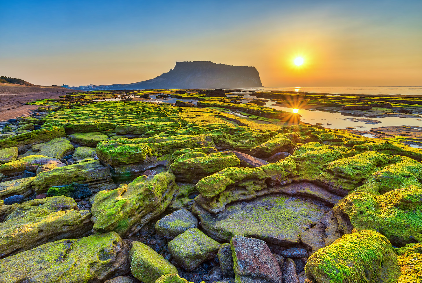 夏日風情 夏日濟洲4日~ECO LAND英式森林小火車、城邑民俗村、犘拖車秀、七星洞購物街+東門市場逛街趣