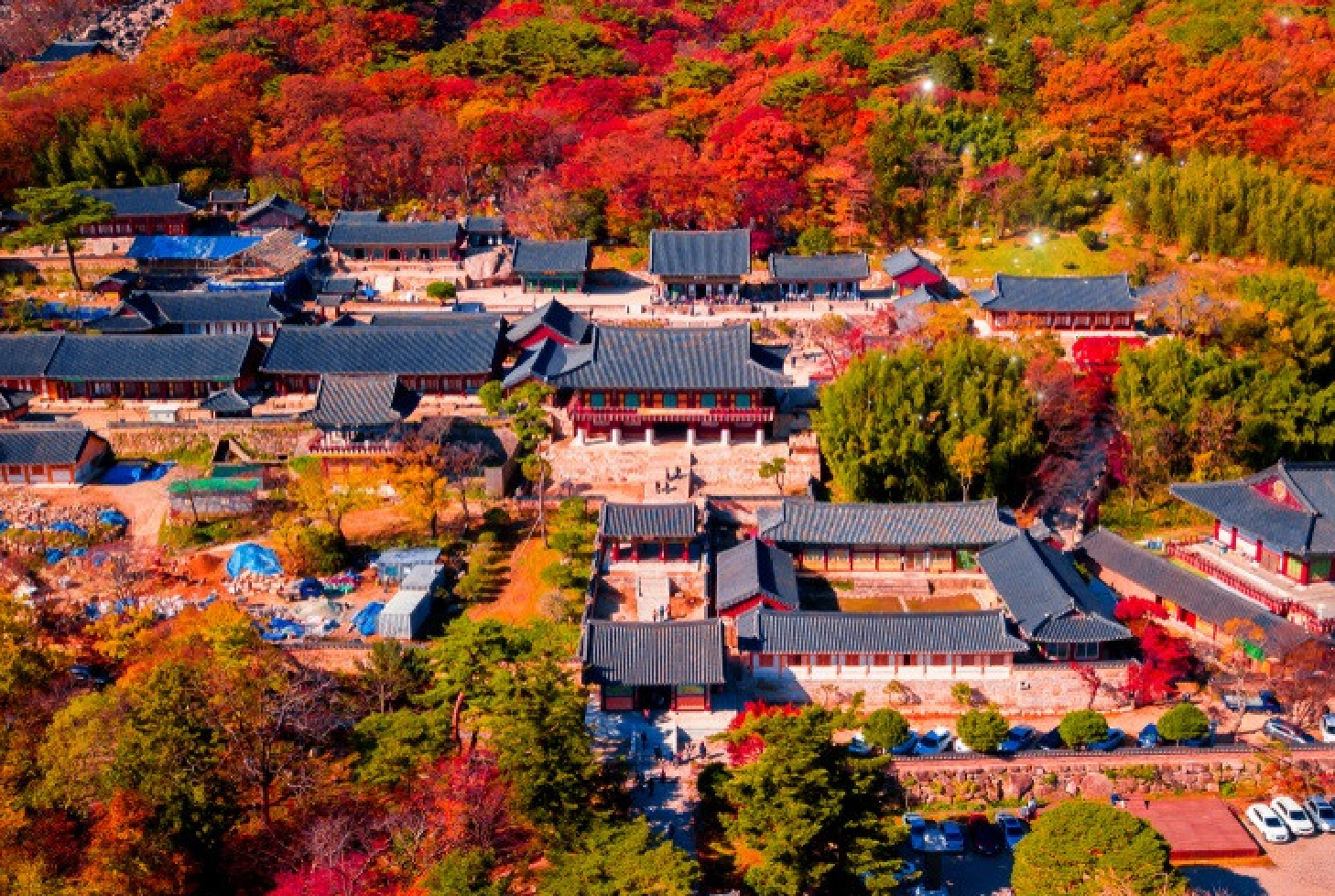 賞楓打卡 秋趣釜山賞楓5日(彩妝站)~伽耶山國立公園、紅流洞溪谷、道東書院、八公山道立公園(含纜車)、甘川洞文化村