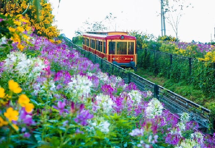 北越沙壩陸龍灣5日