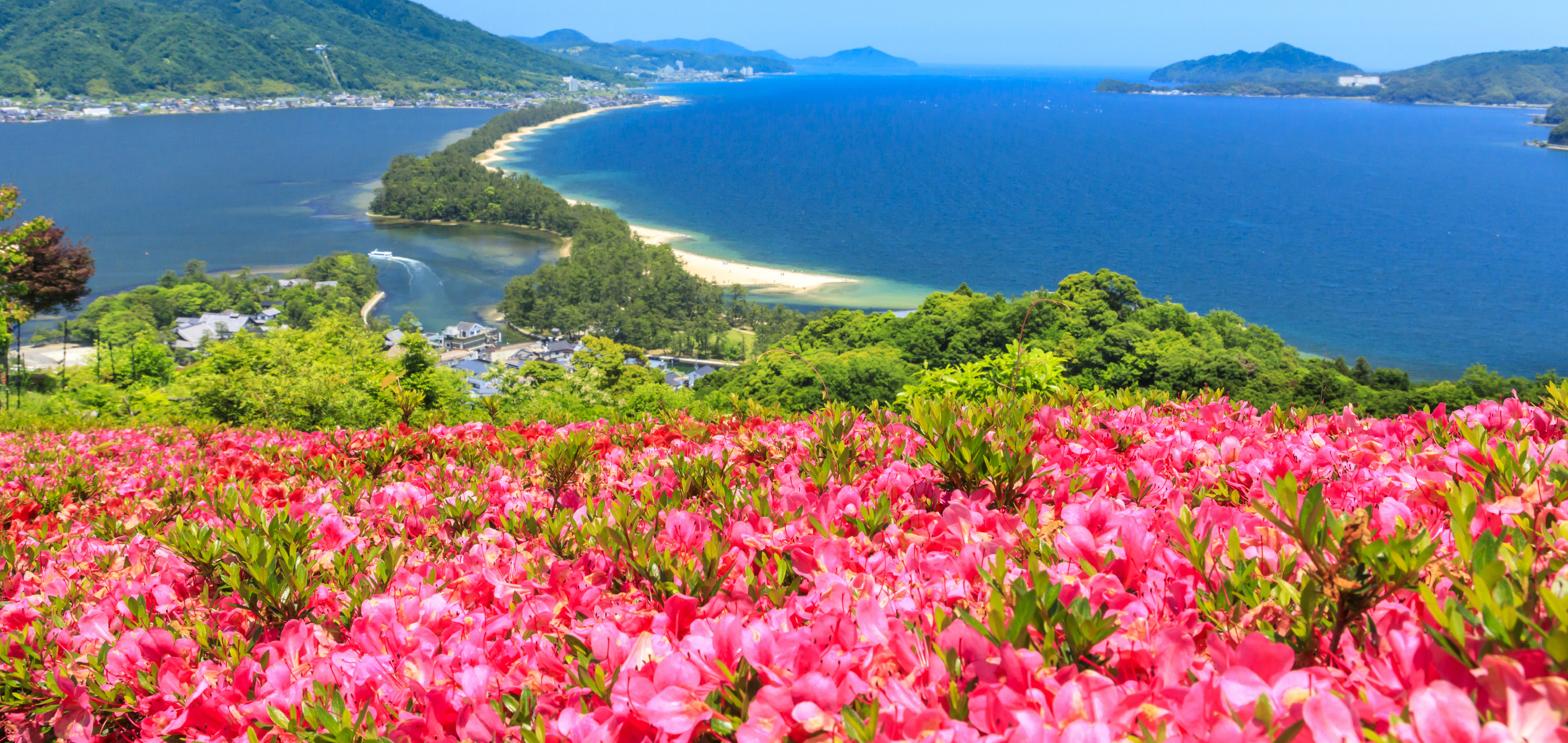 山陰山陽~天橋立.伊根灣.鳥取.足立花回廊松江城6日